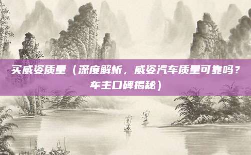 买威姿质量(深度解析,威姿汽车质量可靠吗?车主口碑揭秘)