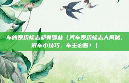车的系统标志都有哪些（汽车系统标志大揭秘，识车小技巧，车主必看！）