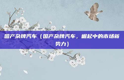 国产杂牌汽车(国产杂牌汽车,崛起中的市场新势力)