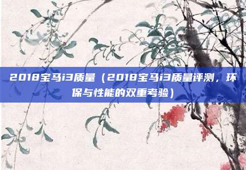 2018宝马i3质量（2018宝马i3质量评测，环保与性能的双重考验）