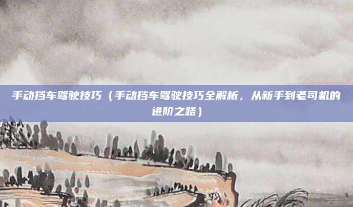 手动挡车驾驶技巧(手动挡车驾驶技巧全解析,从新手到老司机的进阶之路)