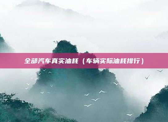 全部汽车真实油耗(车辆实际油耗排行)