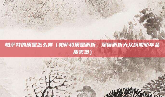 帕萨特的质量怎么样（帕萨特质量解析，深度解析大众旗舰轿车品质表现）