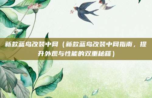 新款蓝鸟改装中网(新款蓝鸟改装中网指南,提升外观与性能的双重秘籍)