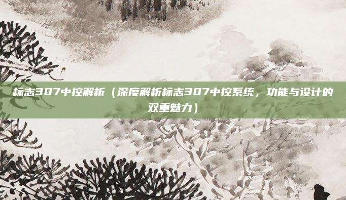 标志307中控解析(深度解析标志307中控系统,功能与设计的双重魅力)