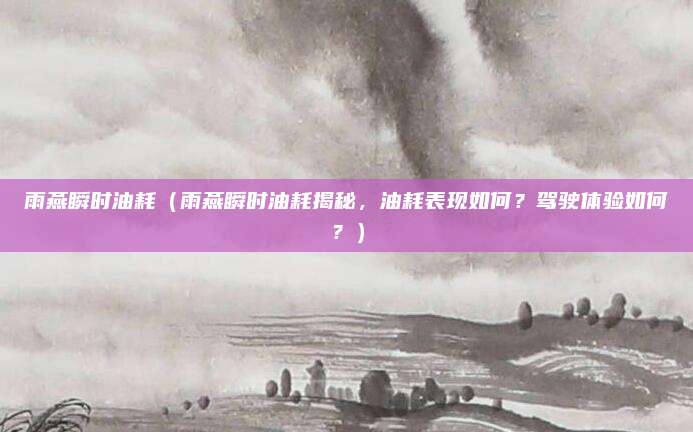 雨燕瞬时油耗(雨燕瞬时油耗揭秘,油耗表现如何?驾驶体验如何?)