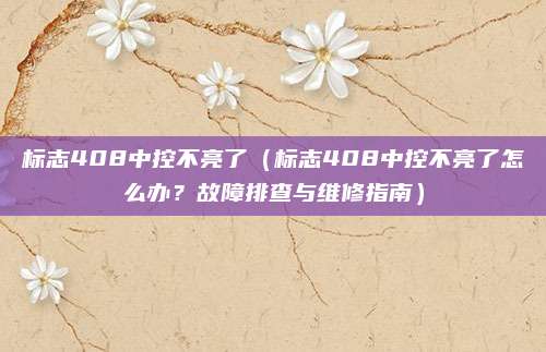 标志408中控不亮了(标志408中控不亮了怎么办?故障排查与维修指南)