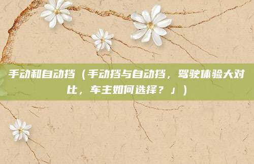 手动和自动挡(手动挡与自动挡,驾驶体验大对比,车主如何选择?」)