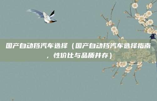 国产自动挡汽车选择(国产自动挡汽车选择指南,性价比与品质并存)