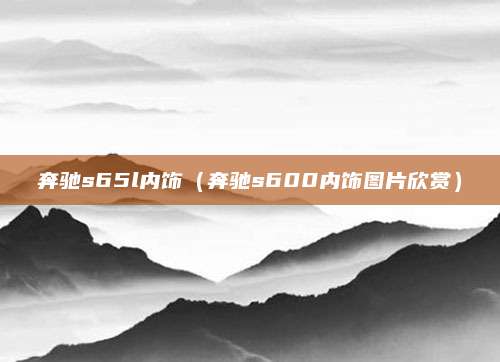 奔驰s65l内饰(奔驰s600内饰图片欣赏)