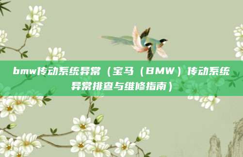 bmw传动系统异常(宝马(BMW)传动系统异常排查与维修指南)