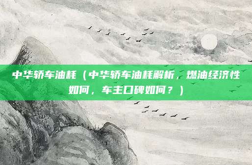 中华轿车油耗（中华轿车油耗解析，燃油经济性如何，车主口碑如何？）