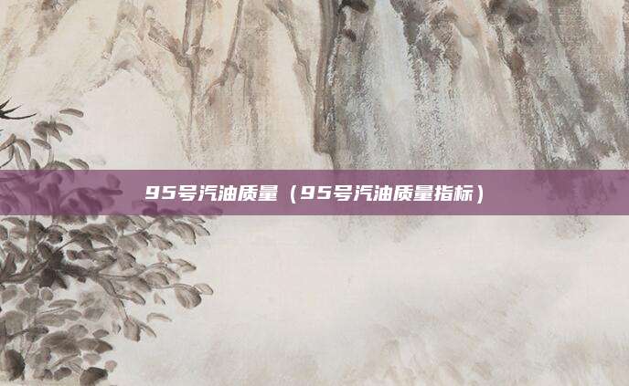 95号汽油质量(95号汽油质量指标)