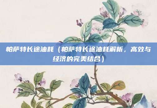 帕萨特长途油耗(帕萨特长途油耗解析,高效与经济的完美结合)