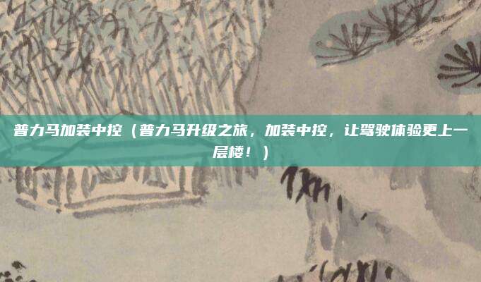 普力马加装中控（普力马升级之旅，加装中控，让驾驶体验更上一层楼！）