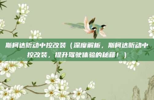 斯柯达昕动中控改装（深度解析，斯柯达昕动中控改装，提升驾驶体验的秘籍！）