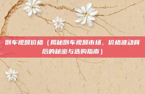 倒车视频价格（揭秘倒车视频市场，价格波动背后的秘密与选购指南）