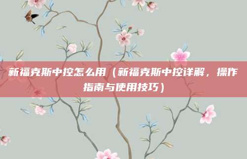 新福克斯中控怎么用(新福克斯中控详解,操作指南与使用技巧)