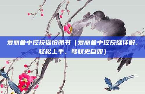 爱丽舍中控按键说明书(爱丽舍中控按键详解,轻松上手,驾驭更自如)