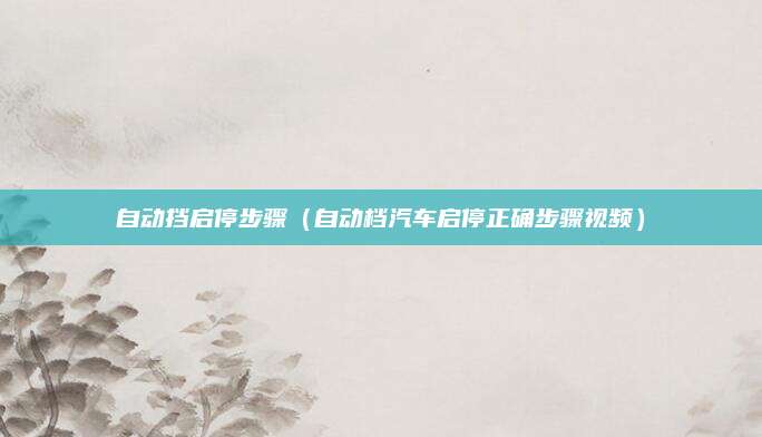 自动挡启停步骤(自动档汽车启停正确步骤视频)