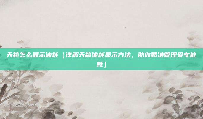 天籁怎么显示油耗(详解天籁油耗显示方法,助你精准管理爱车能耗)