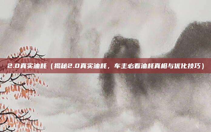 2.0真实油耗(揭秘2.0真实油耗,车主必看油耗真相与优化技巧)