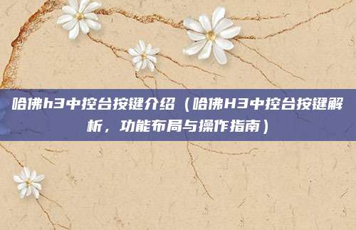 哈佛h3中控台按键介绍(哈佛H3中控台按键解析,功能布局与操作指南)