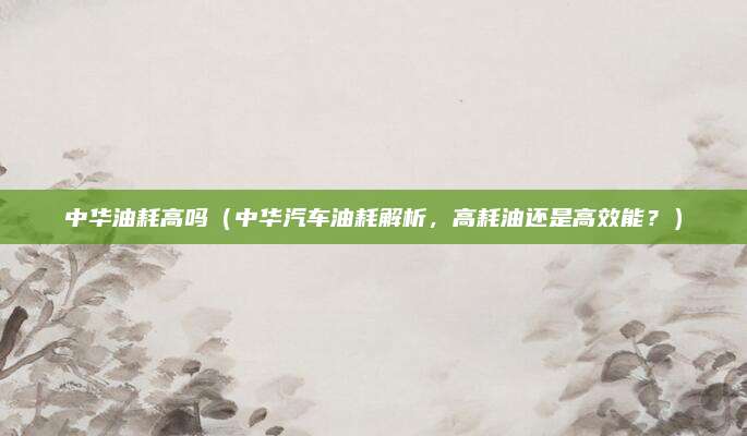 中华油耗高吗（中华汽车油耗解析，高耗油还是高效能？）