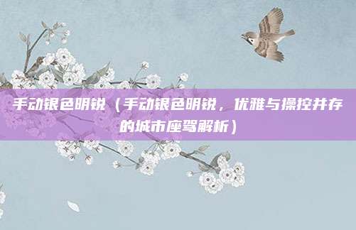 手动银色明锐（手动银色明锐，优雅与操控并存的城市座驾解析）