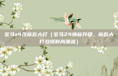 宝马z4改新款大灯(宝马Z4焕新升级,新款大灯引领时尚潮流)