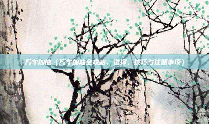 汽车加油(汽车加油全攻略,选择、技巧与注意事项)