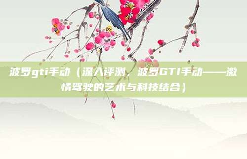 波罗gti手动（深入评测，波罗GTI手动——激情驾驶的艺术与科技结合）