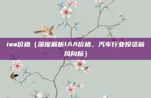 iaa价格(深度解析IAA价格,汽车行业投资新风向标)