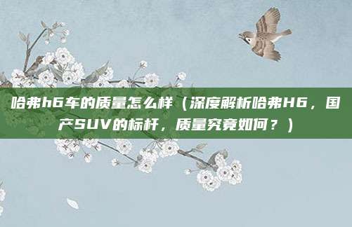 哈弗h6车的质量怎么样(深度解析哈弗H6,国产SUV的标杆,质量究竟如何?)