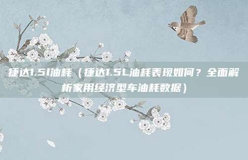 捷达1.5l油耗(捷达1.5L油耗表现如何?全面解析家用经济型车油耗数据)