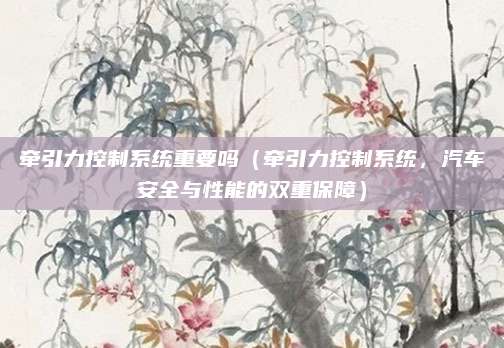 牵引力控制系统重要吗（牵引力控制系统，汽车安全与性能的双重保障）