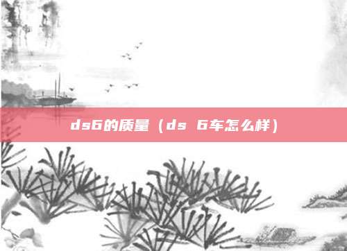 ds6的质量(ds 6车怎么样)