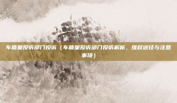 车质量投诉部门投诉(车质量投诉部门投诉解析,维权途径与注意事项)