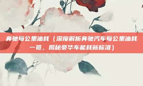 奔驰每公里油耗（深度解析奔驰汽车每公里油耗一览，揭秘豪华车能耗新标准）