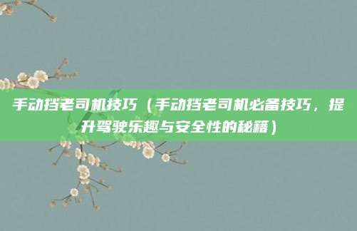 手动挡老司机技巧（手动挡老司机必备技巧，提升驾驶乐趣与安全性的秘籍）