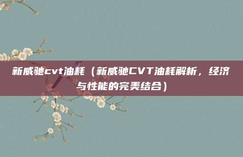 新威驰cvt油耗(新威驰CVT油耗解析,经济与性能的完美结合)