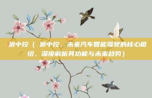 車狼中控（車狼中控，未来汽车智能驾驶的核心枢纽，深度解析其功能与未来趋势）