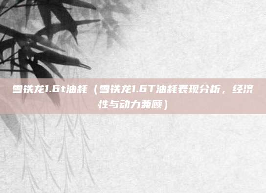 雪铁龙1.6t油耗（雪铁龙1.6T油耗表现分析，经济性与动力兼顾）