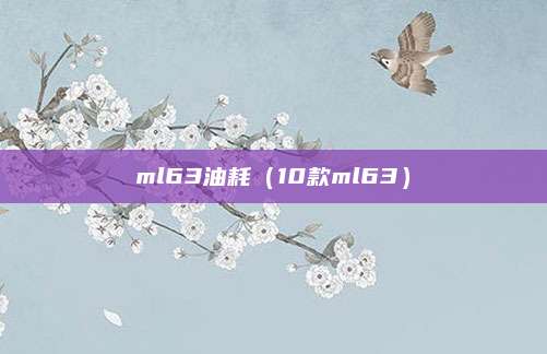 ml63油耗（10款ml63）