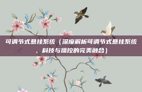 可调节式悬挂系统(深度解析可调节式悬挂系统,科技与操控的完美融合)