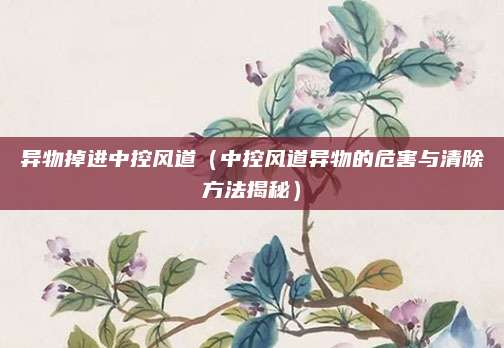 异物掉进中控风道（中控风道异物的危害与清除方法揭秘）
