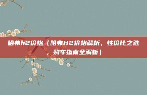 哈弗h2价格(哈弗H2价格解析,性价比之选,购车指南全解析)