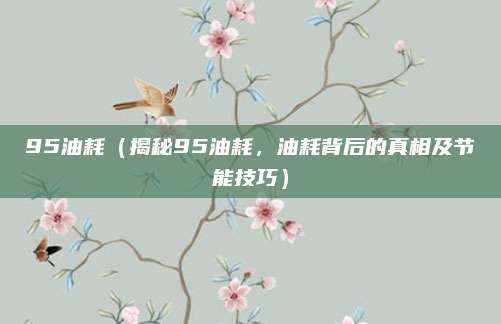 95油耗（揭秘95油耗，油耗背后的真相及节能技巧）