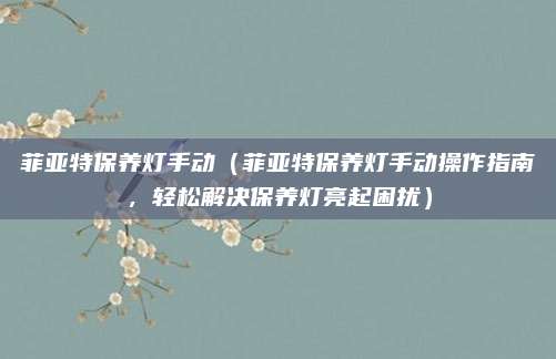 菲亚特保养灯手动（菲亚特保养灯手动操作指南，轻松解决保养灯亮起困扰）