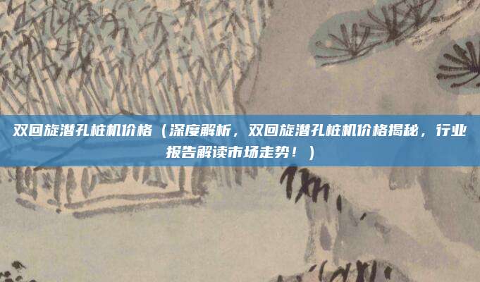双回旋潜孔桩机价格（深度解析，双回旋潜孔桩机价格揭秘，行业报告解读市场走势！）